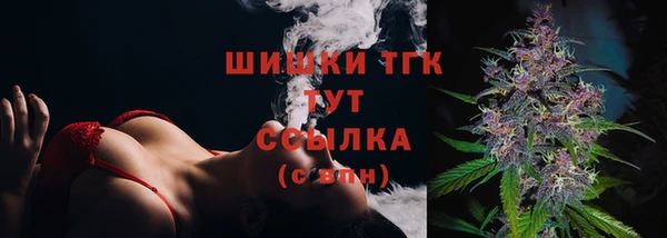 твердый Осташков