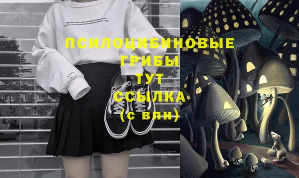 твердый Осташков
