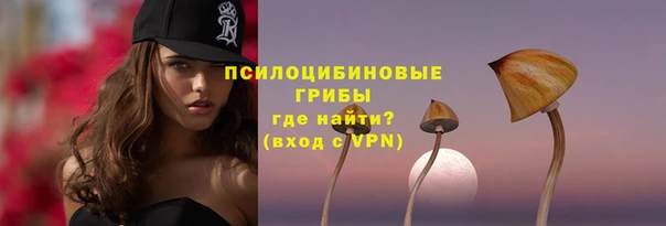 индика Остров