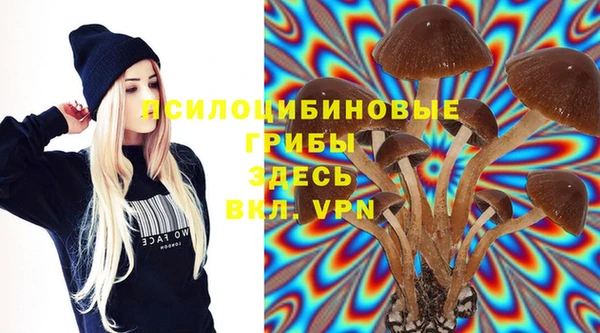 индика Остров