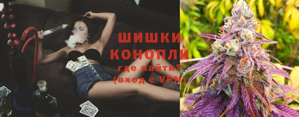 твердый Осташков