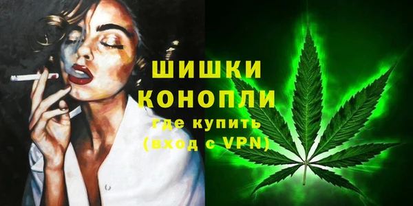 твердый Осташков