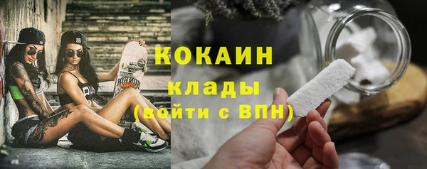 твердый Осташков