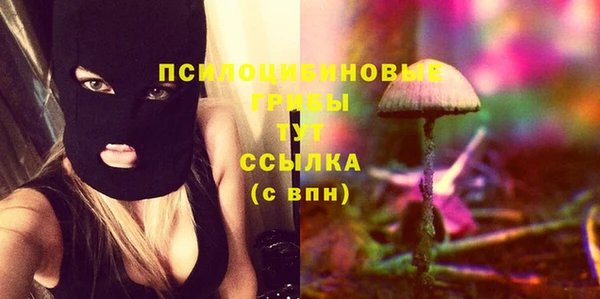 твердый Осташков